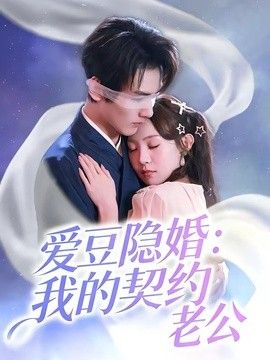 爱豆隐婚：我的契约老公