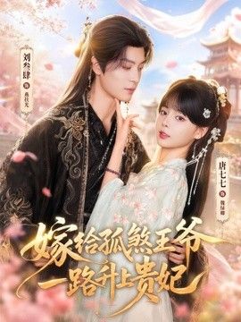嫁给孤煞王爷一路升上贵妃